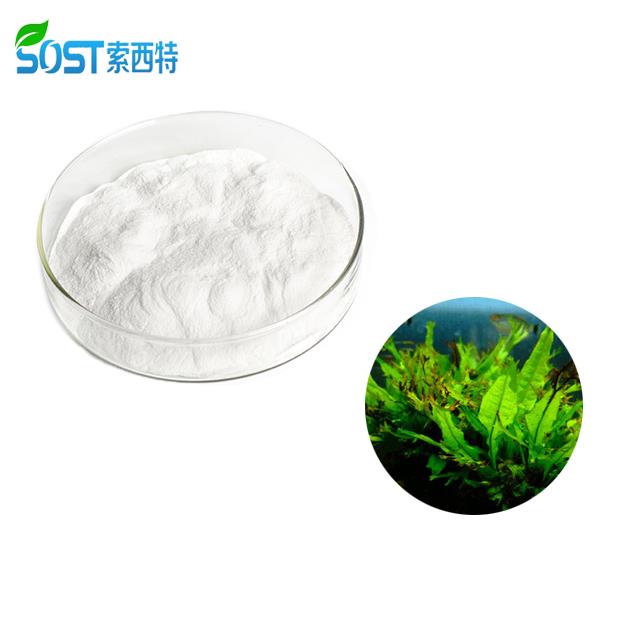 Fucoidan Powder