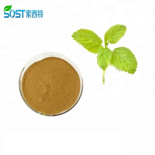 Lemon Balm Leaf Extract Powder