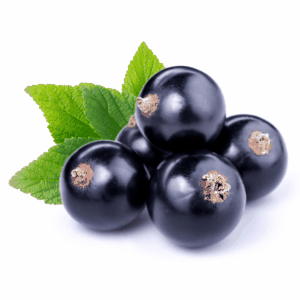Black Currant Juice Powder